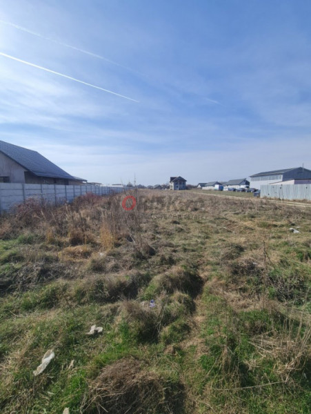 Terenuri Clinceni - 2.500mp -> 15 Ha