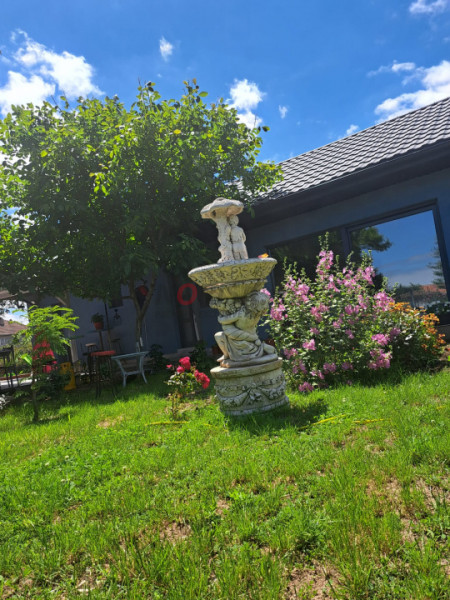 2 case + spațiu comercial | 6 dormitoare - băi proprii | 685 MP Teren 