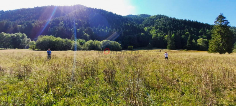 Teren Intravilan | Schitu Tarcău | 2089MP | Izvor | Platou