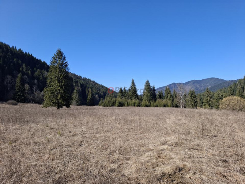 Teren Intravilan | Schitu Tarcău | 2089MP | Izvor | Platou