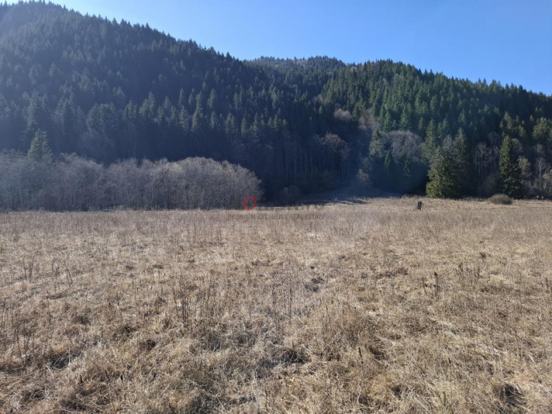 Teren Intravilan | Schitu Tarcău | 2089MP | Izvor | Platou