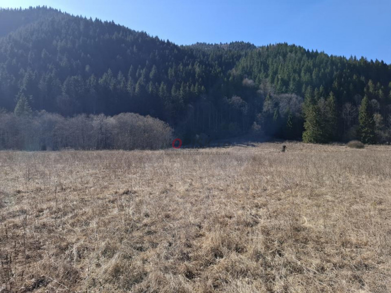 Teren Intravilan | Schitu Tarcău | 2089MP | Izvor | Platou