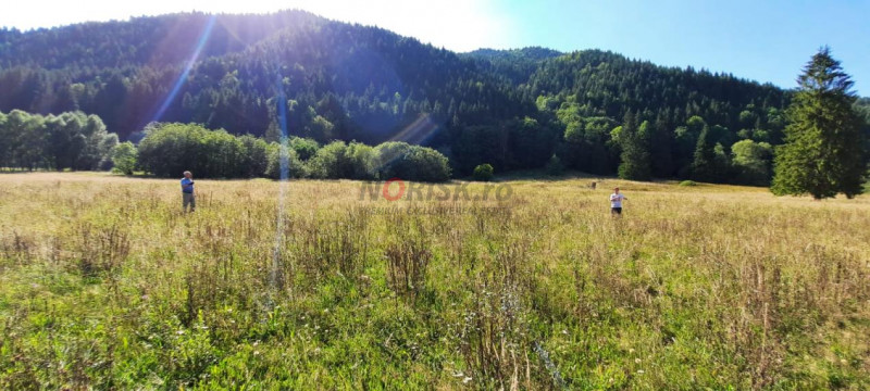 Teren Intravilan | Schitu Tarcău | 2089MP | Izvor | Platou