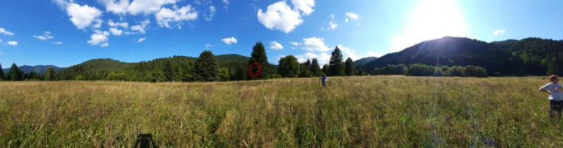 Teren Intravilan | Schitu Tarcău | 2089MP | Izvor | Platou