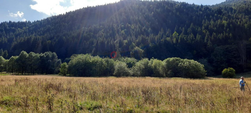 Teren Intravilan | Schitu Tarcău | 2089MP | Izvor | Platou