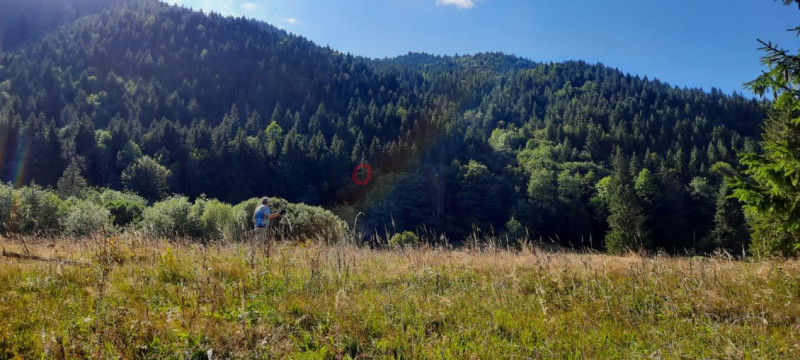 Teren Intravilan | Schitu Tarcău | 2089MP | Izvor | Platou