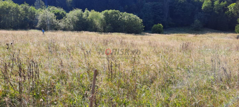 Teren Intravilan | Schitu Tarcău | 2089MP | Izvor | Platou