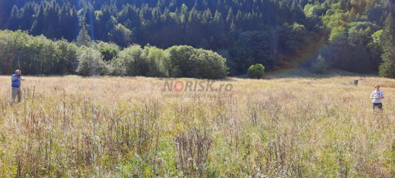 Teren Intravilan | Schitu Tarcău | 2089MP | Izvor | Platou