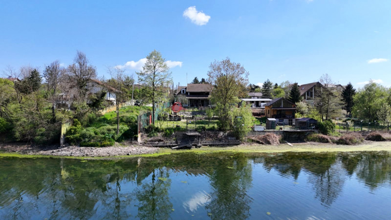 Vila pe lac cu vedere la padure - Pasarea - Branesti