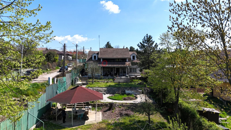 Vila pe lac cu vedere la padure - Pasarea - Branesti