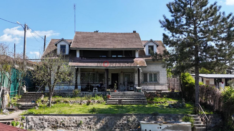 Vila pe lac cu vedere la padure - Pasarea - Branesti