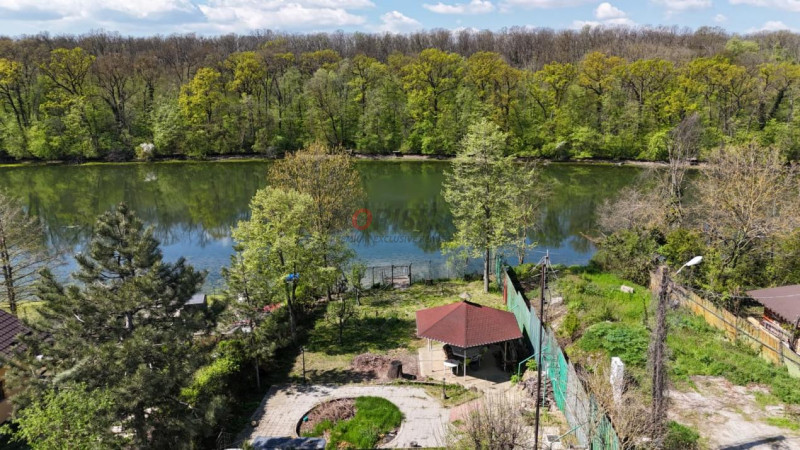 Vila pe lac cu vedere la padure - Pasarea - Branesti