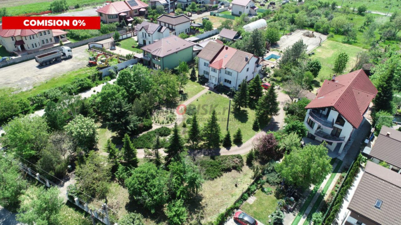 Oportunitate Rară în Ciorogârla– 8.000 mp Teren | Dublu Acces Asfaltat