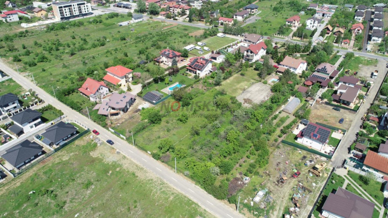 Oportunitate Rară în Ciorogârla– 8.000 mp Teren | Dublu Acces Asfaltat