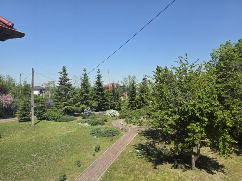 Oportunitate Rară în Ciorogârla– 8.000 mp Teren | Dublu Acces Asfaltat