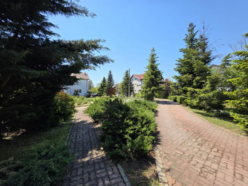 Oportunitate Rară în Ciorogârla– 8.000 mp Teren | Dublu Acces Asfaltat