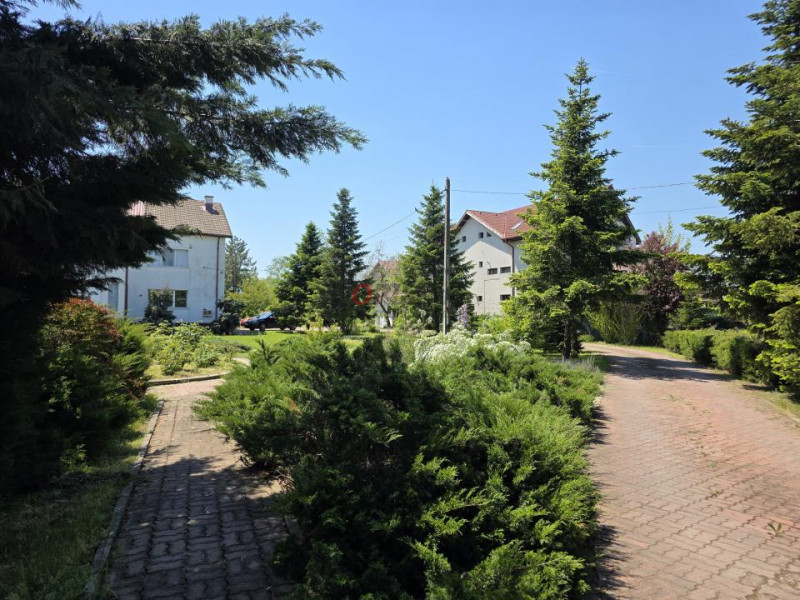 Oportunitate Rară în Ciorogârla– 8.000 mp Teren | Dublu Acces Asfaltat