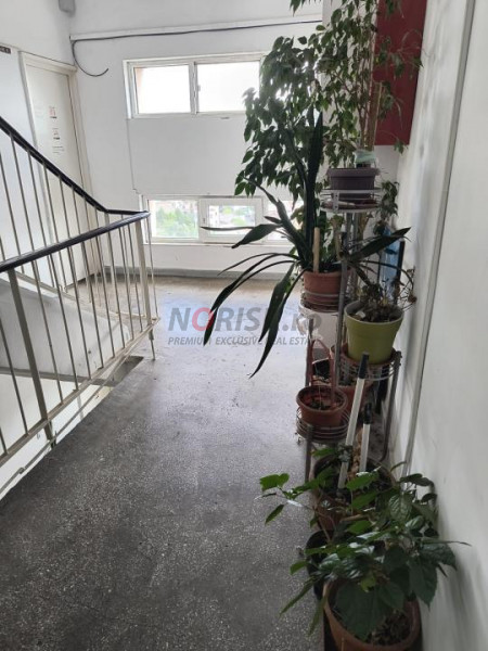 4 Camere Decomandat | Bloc 1981 | Ștefan cel Mare | 86MP