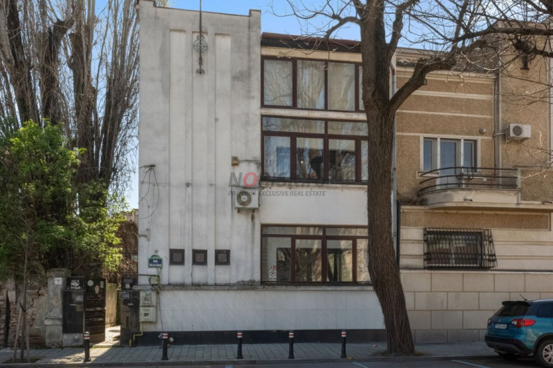 VANZARE VILA 9 CAMERE DECEBAL- RADU DE LA AFUMATI NR.42