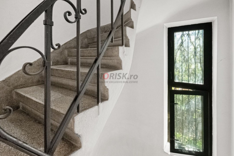 VANZARE VILA 9 CAMERE DECEBAL- RADU DE LA AFUMATI NR.42