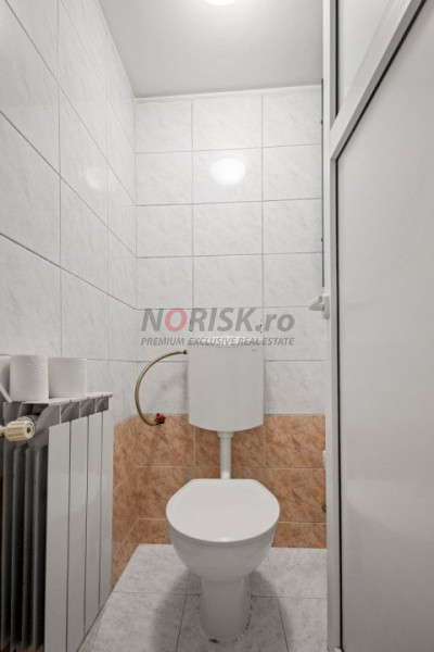 VANZARE VILA 9 CAMERE DECEBAL- RADU DE LA AFUMATI NR.42