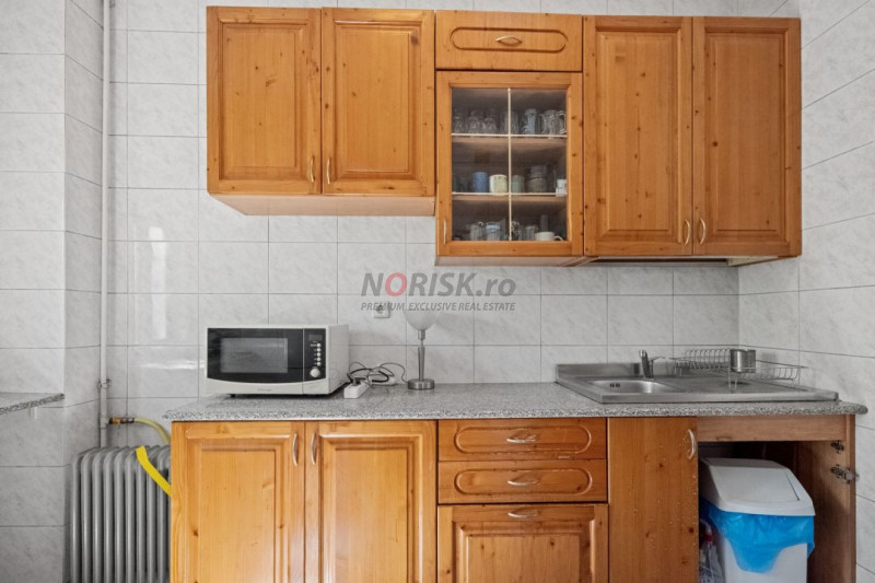 VANZARE VILA 9 CAMERE DECEBAL- RADU DE LA AFUMATI NR.42