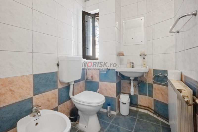 VANZARE VILA 9 CAMERE DECEBAL- RADU DE LA AFUMATI NR.42