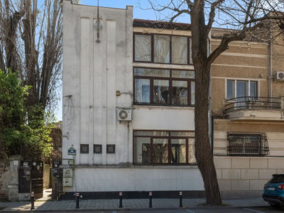 VANZARE VILA 9 CAMERE DECEBAL- RADU DE LA AFUMATI NR.42