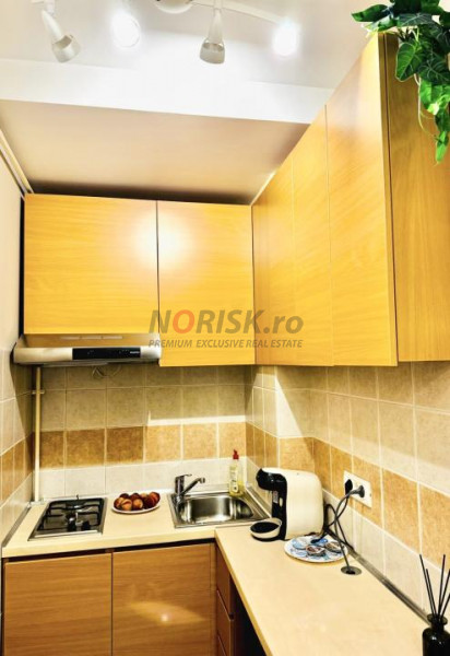 2 Camere I Unirii-Coposu I 48 MP I Renovat I Centrală I Ultracentral