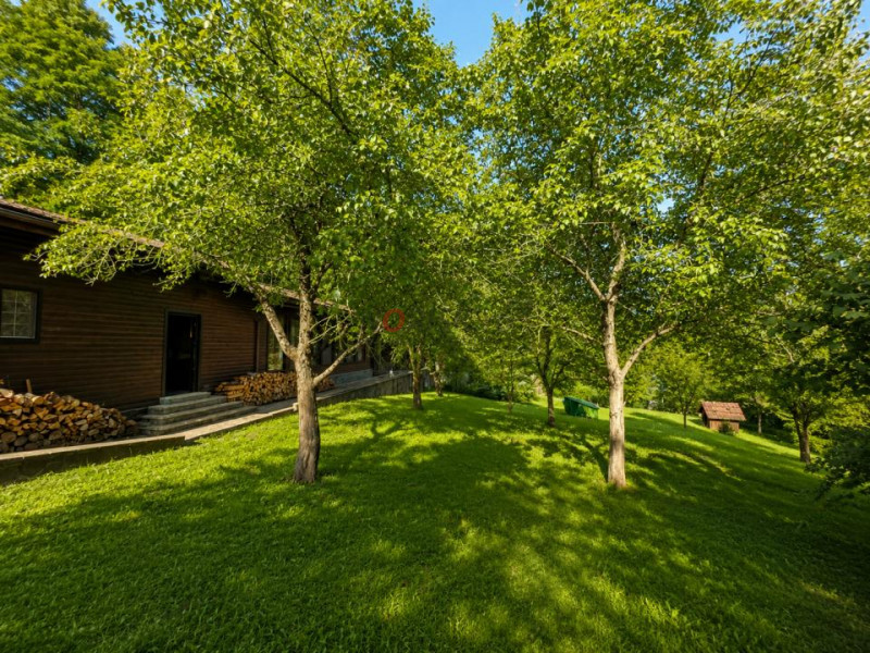 Mountain Chalet | Private Resort | Investment - Nistoresti