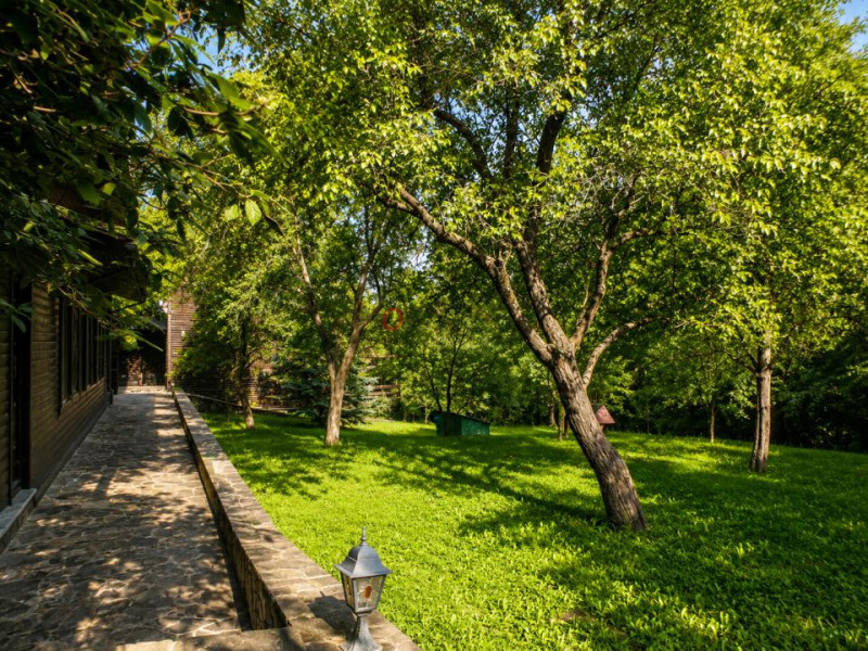 Mountain Chalet | Private Resort | Investment - Nistoresti