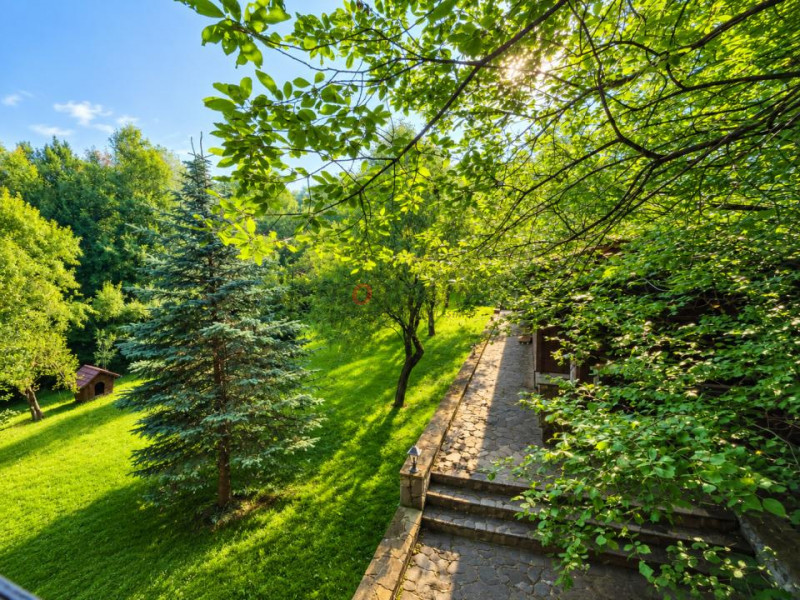 Mountain Chalet | Private Resort | Investment - Nistoresti