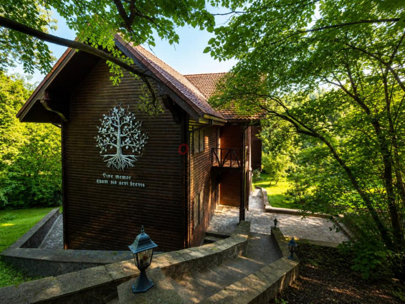 Mountain Chalet | Private Resort | Investment - Nistoresti