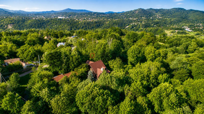 Mountain Chalet | Private Resort | Investment - Nistoresti