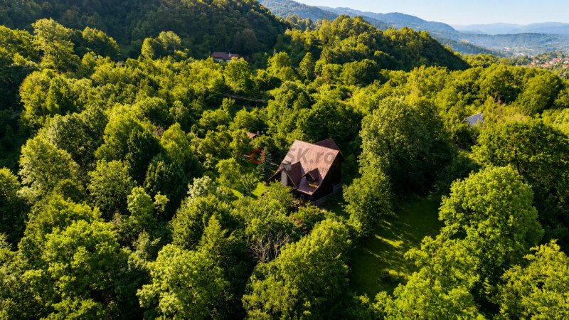 Mountain Chalet | Private Resort | Investment - Nistoresti