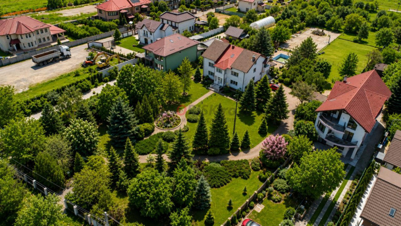 Oportunitate Rară în Ciorogârla– 8.000 mp Teren | Dublu Acces Asfaltat