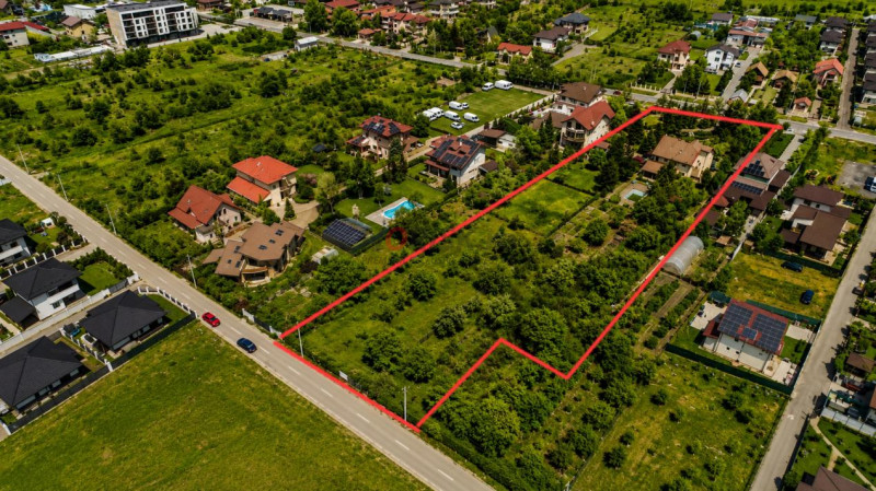 Oportunitate Rară în Ciorogârla– 8.000 mp Teren | Dublu Acces Asfaltat