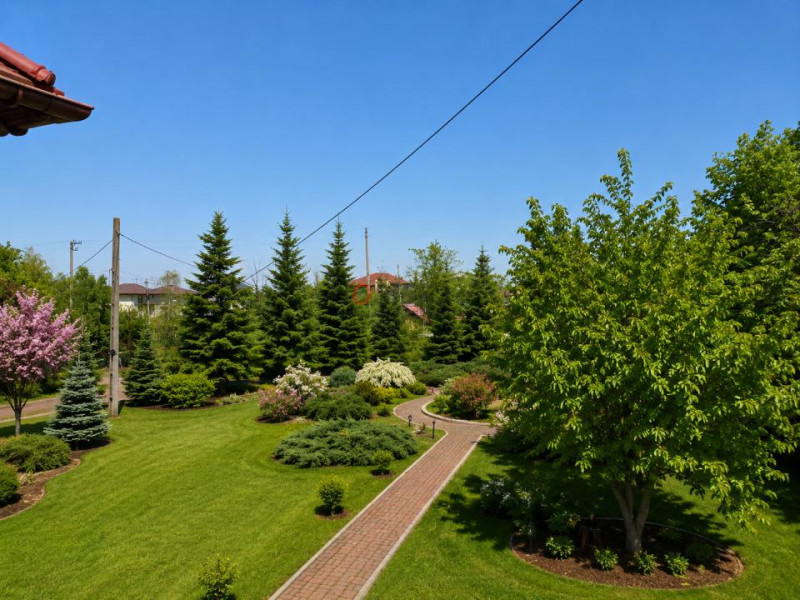 Oportunitate Rară în Ciorogârla– 8.000 mp Teren | Dublu Acces Asfaltat