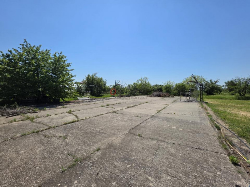 Oportunitate Rară în Ciorogârla– 8.000 mp Teren | Dublu Acces Asfaltat