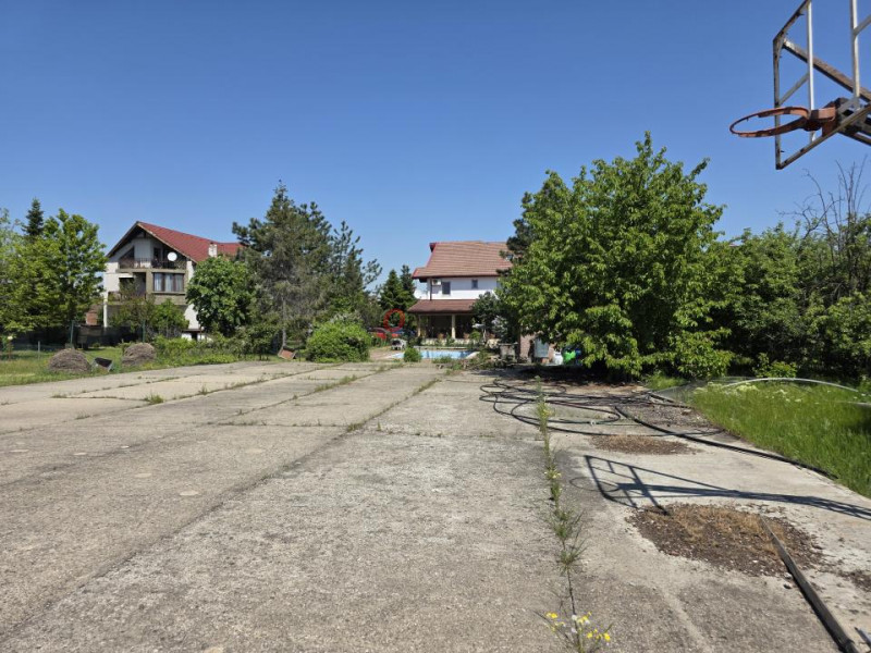 Oportunitate Rară în Ciorogârla– 8.000 mp Teren | Dublu Acces Asfaltat
