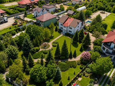 Oportunitate Rară în Ciorogârla– 8.000 mp Teren | Dublu Acces Asfaltat