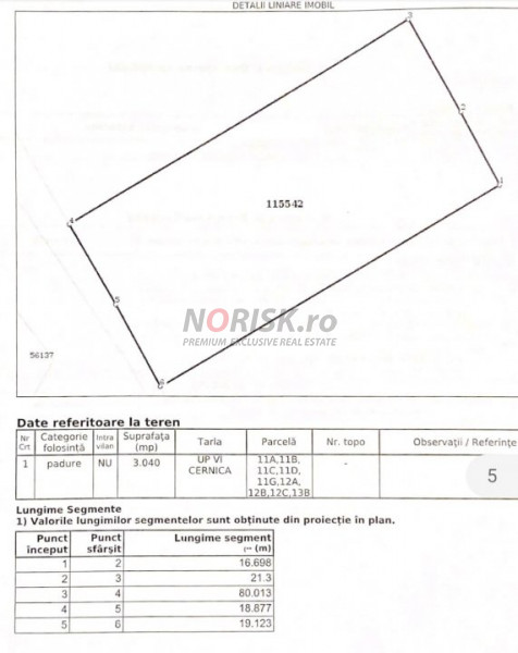 Vanzare 3040 mp de padure la soseaua Cernica