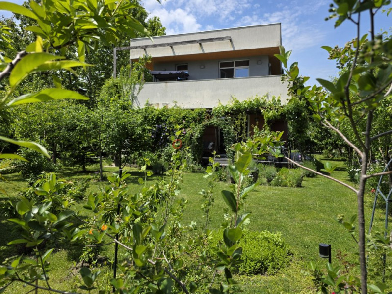 Refugiu Verde în Corbeanca – Vilă Premium cu Grădină Matură