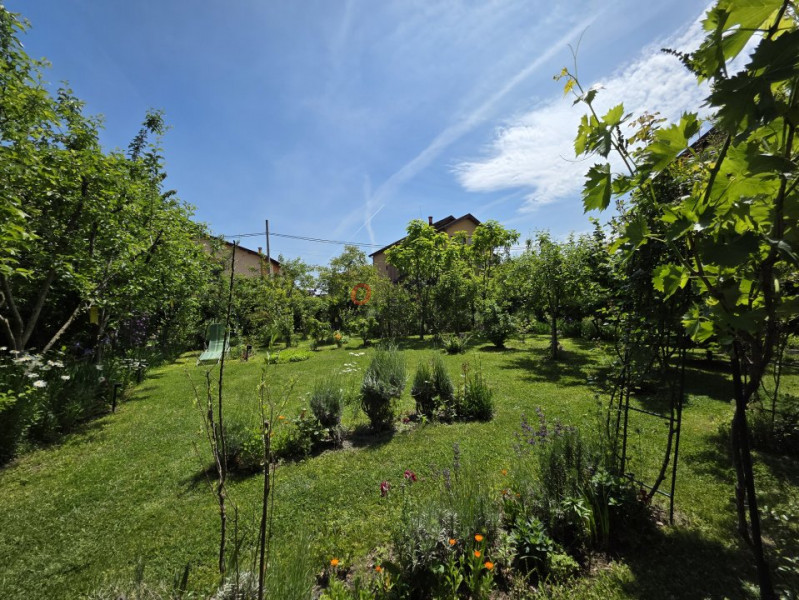 Refugiu Verde în Corbeanca – Vilă Premium cu Grădină Matură