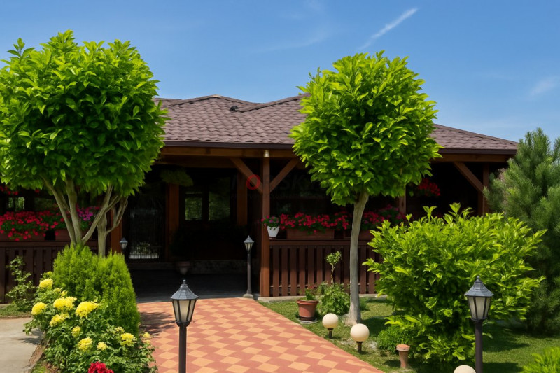 Casă solidă, complet renovată, cu terasă generoasă – Bolintin Vale