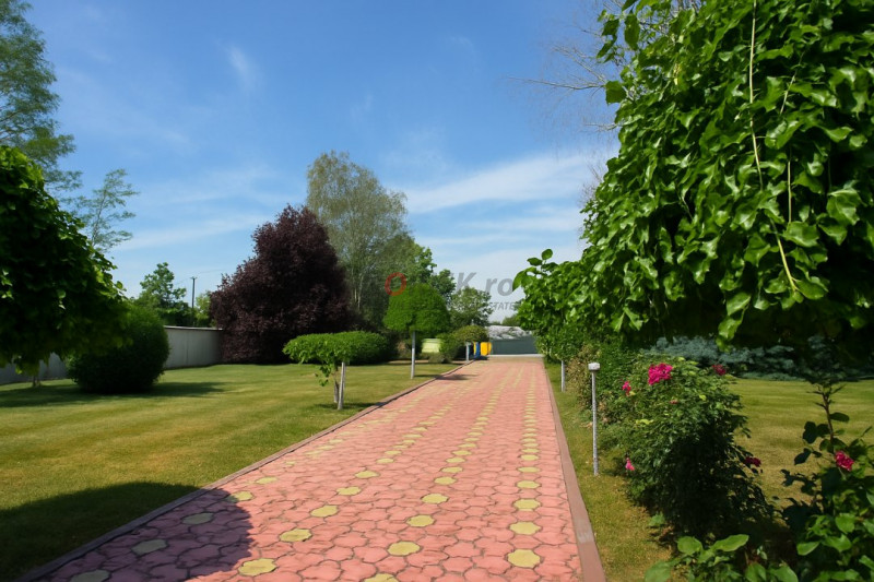 Oportunitate Domnești – casă solidă pe teren de 4.500 mp