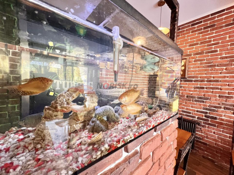 BUSINESS la CHEIE - RESTAURANT - PIZZERIE I DRISTOR I Since 2000 !