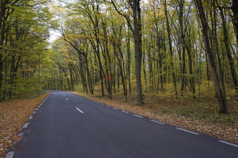 Teren intravilan | Snagov | Izvorani | 2800mp | Stradal