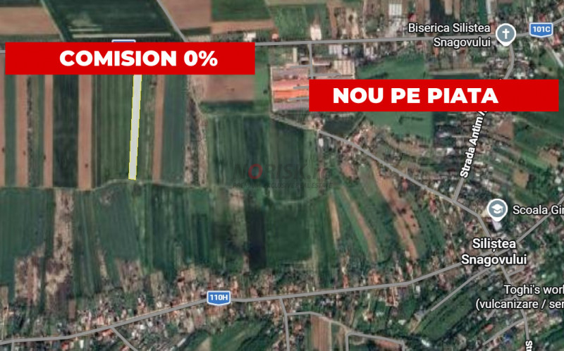 Teren extravilan | Siliștea Snagovului | 8500mp | Stradal