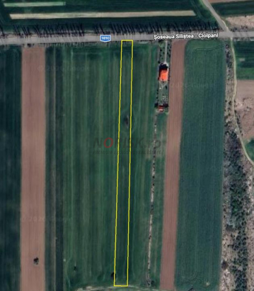 Teren extravilan | Siliștea Snagovului | 8500mp | Stradal